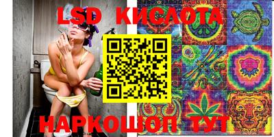 шишки Можайск